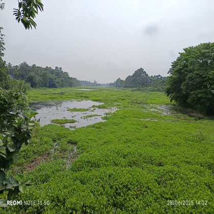 আরও এক মৃত নদী বাঁচানো
