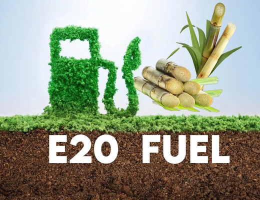 ইথানল-মিশ্রিত জ্বালানির রাজনীতি